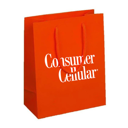 Gift Bag (Pack of 10)