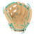 Wilson A1000 DW5 Baseball Glove 12": WBW10258112