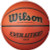Wilson Evolution Game Basketball 28.5 (Size 6)