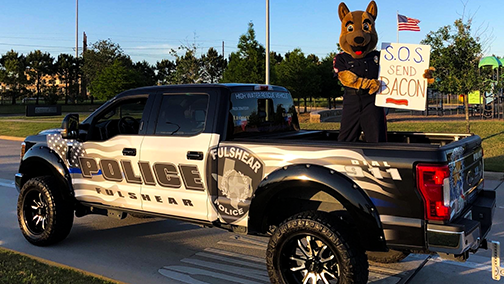 Custom police car graphics featuring blue line flag