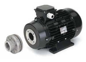 Nicolini 5.5kW Elastic Joint Electric Motor