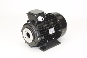 Nicolini 15kW Hollow Shaft Electric Motor
