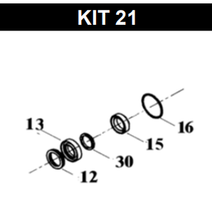 Bertolini Minor Seal Kit 21 TWS