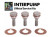Interpump Plunger Bolt Kit