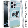 Mood Series MagSafe Hybrid Case for iPhone 16 Pro - Eagle