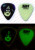 KISS KRUISE VI HALLOWEEN GLOW IN THE DARK GUITAR PICK Tommy Thayer Spaceman KISS KRUISE VI HALLOWEEN GLOW IN THE DARK GUITAR PICK Tommy Thayer Spaceman