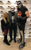 WCW Sting Torborg Demon Autograph Wrestling Signed Photo Set Asya LOT Borden