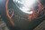 Gene Simmons SIGNED Solo LP 2014 USA Release