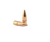 Lightning Ammo | .224" 55gr Bullets W/Cann - 100ct