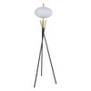 Floor Lamp - Black / Gold