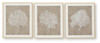 Hendridge - Wall Art Set (Set of 3) - Taupe / White