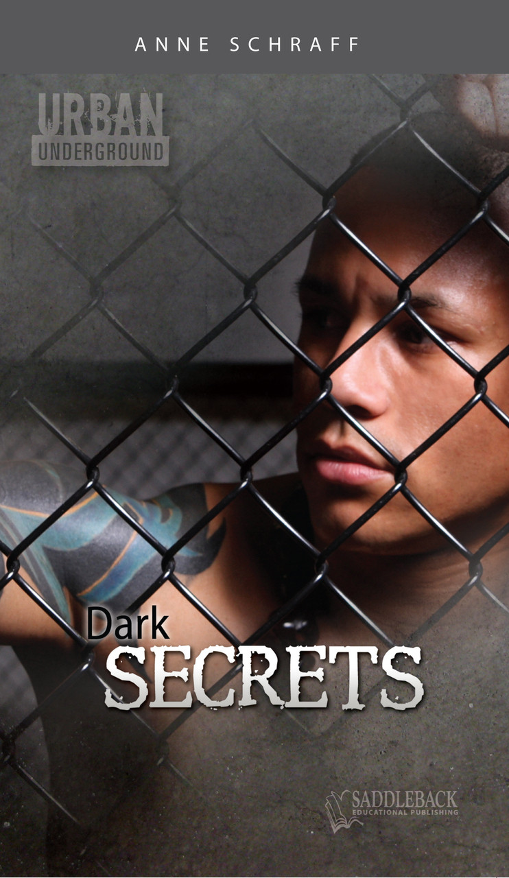 Dark Secrets | Anne Schraff | Saddleback Educational Publishing