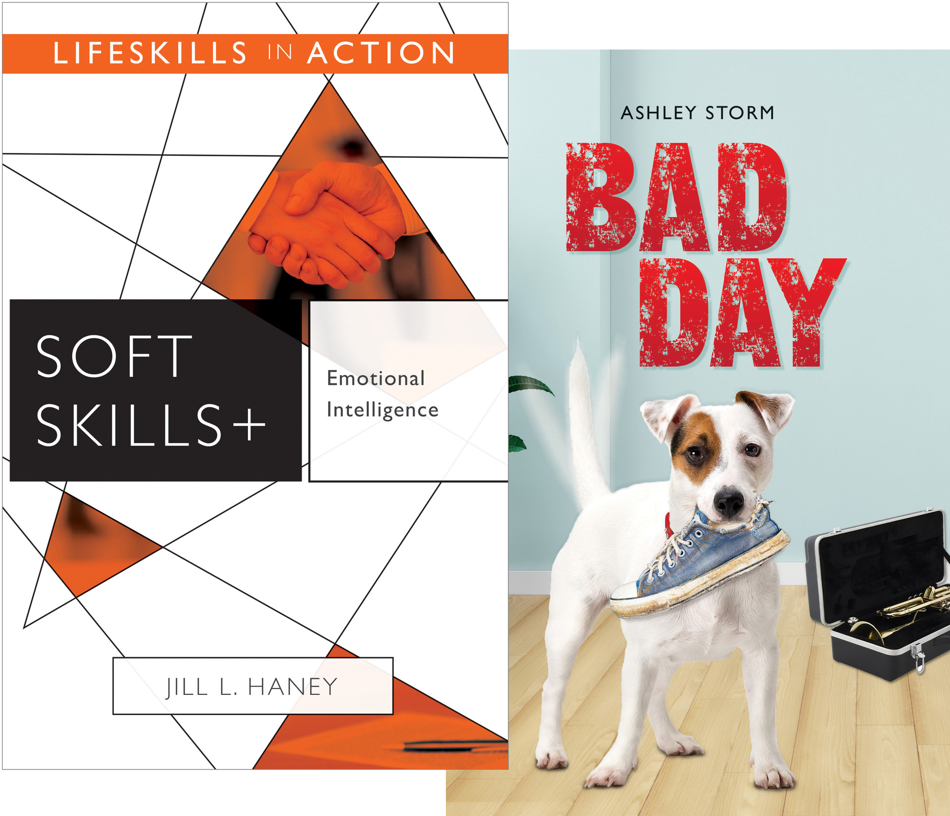 Emotional Intelligence Bad Day Soft Skills Jill Haney And Ashley Storm Saddleback 