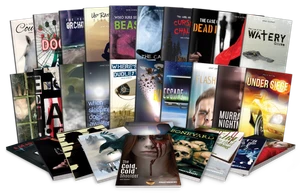 Pageturners Sample Set (1 each of 30 titles) | Hi-Lo Booksª | Educational Books