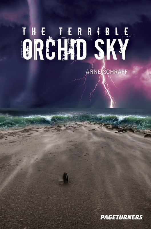 The Terrible Orchid Sky (Adventure) | Hi-Lo Booksª | Educational Books