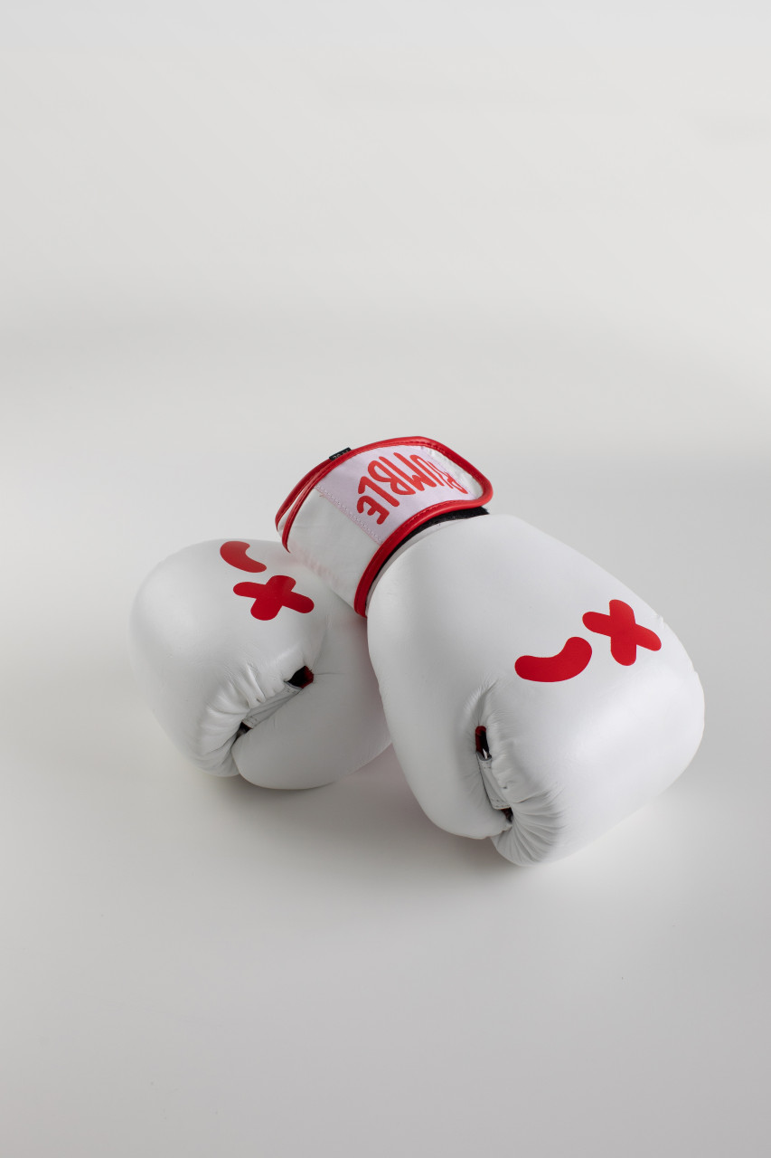 Wink Boxing Glove