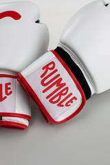 Wink Boxing Glove