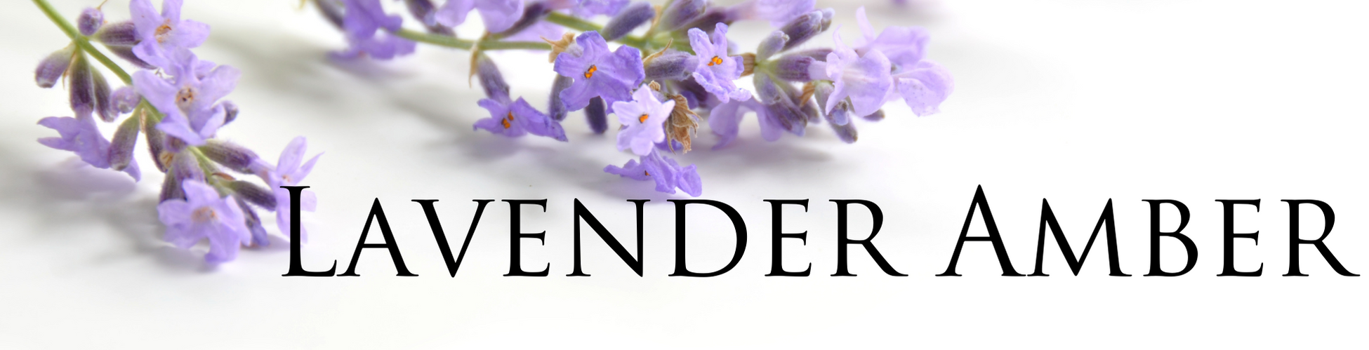 lavender-amber-banner.png