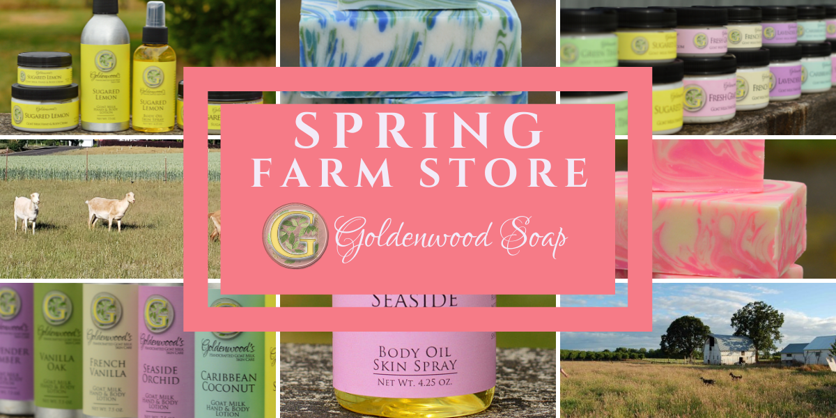 spring-farm-store-2002.png spring-farm-store-2002.png