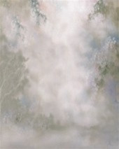 RS30D Single Digital Backdrop Download