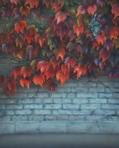 SOO51D Single Digital Backdrop Download