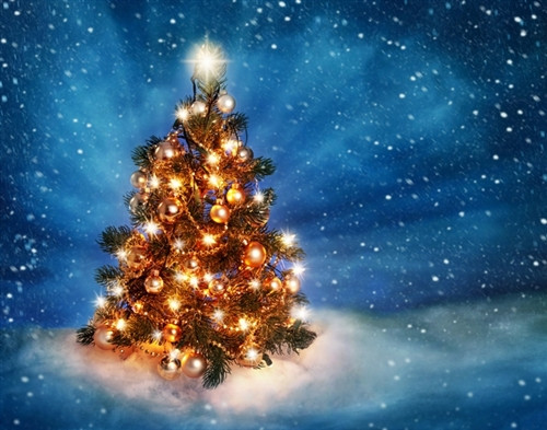 christmas light photo backdrop