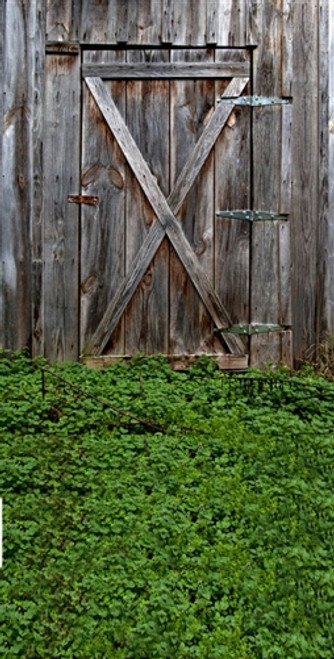 Grass and Barn Door Backdrop