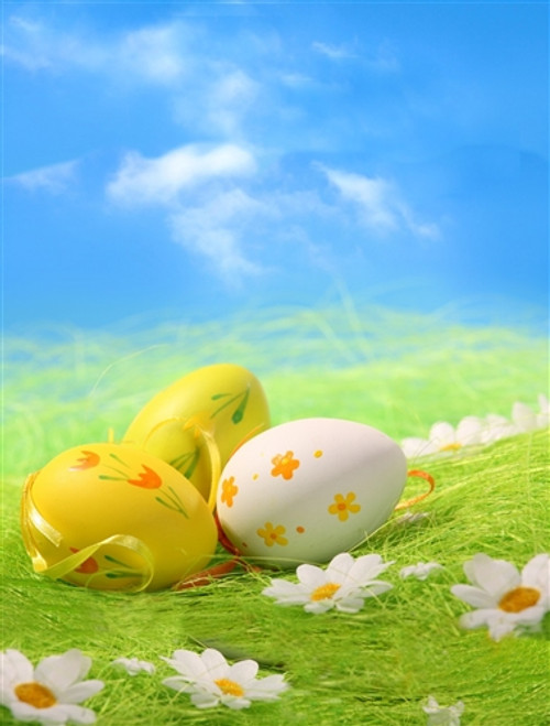 Outdoor Easter Egg Holiday Backdrop