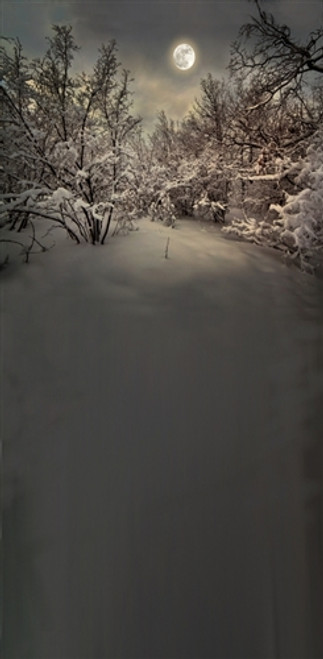 Winter Trees with Snow Backdrop