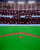 Baseball Field Stadium Sports Backdrop