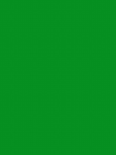 Economy Chromakey Green Screen Backgrounds and Backdrops for Digital