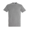 A grey SOLS Imperial Adult T-Shirt with short sleeves and a crew neck, featuring a logo.