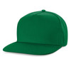 A green flat peak cap with a structured design and a logo at the front.