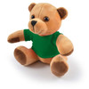 A plush teddy bear with brown fur, sitting and wearing a green shirt. It has large black eyes and a friendly expression.