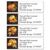 Bountiful Harvest Classic Return Address Labels