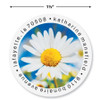 Shasta Daisy Round Address Labels (4 Designs)