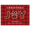 Joy Paw Christmas Cards