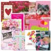 Valentine Faith Greeting Cards Value Pack