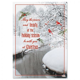 Cardinal Stream Christmas Greeting Cards