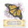 Brilliant Butterflies Diecut Address Labels (6 Designs)