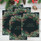 Beautiful Berry Wreath Christmas-Greeting Cards