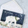 Winter Bears Christmas Greeting Cards