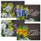 Fresh Cut Easter Cards