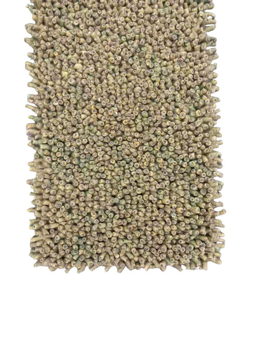 Salsa Groove 40 Area Rug, David Chase Furniture, Steamboat Springs, Colorado - Detail 1