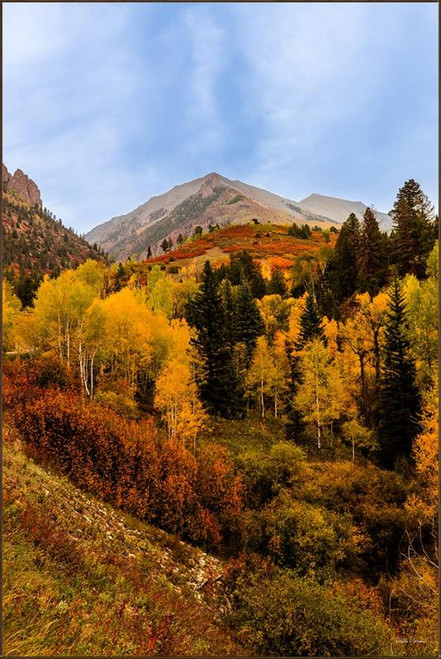 Autumn Crown, David Chase Furniture, Steamboat Springs, Colorado - Full
