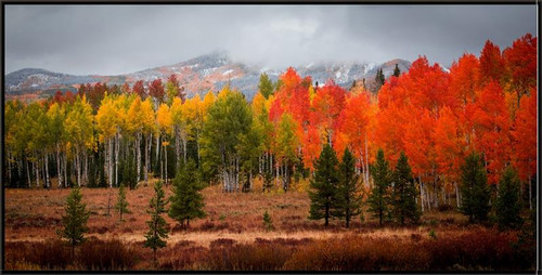 Steamboat Springs Aspen, Delight, David Chase Furniture, Steamboat Springs, Colorado - Full