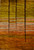 Fine Gabbeh Area Rug, David Chase Furniture, Steamboat Springs, Colorado - Full