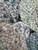 Salsa Jamaica PW Area Rug, David Chase Furniture, Steamboat Springs, Colorado - Detail 3