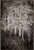 Black and White Aspen Texture, David Chase Furniture, Steamboat Springs, Colorado - Full