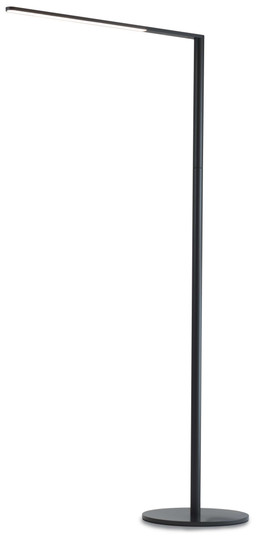 Lady 7 LED Floor Lamp, David Chase Furniture, Steamboat Springs, Colorado - Black Lady 7 LED Floor Lamp, David Chase Furniture, Steamboat Springs, Colorado - Black